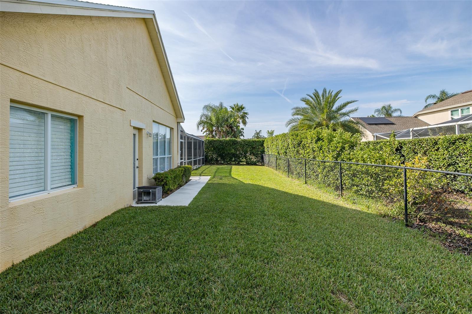 Fenced In Backyard