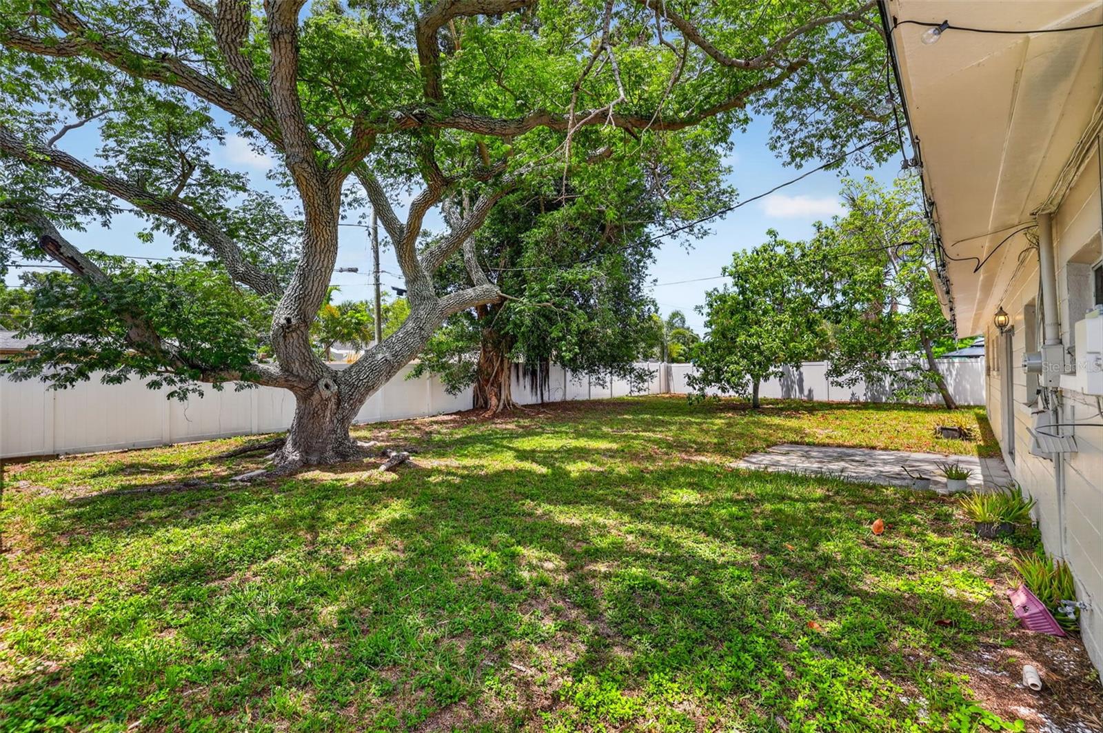 Backyard with natural shade from avocado tree