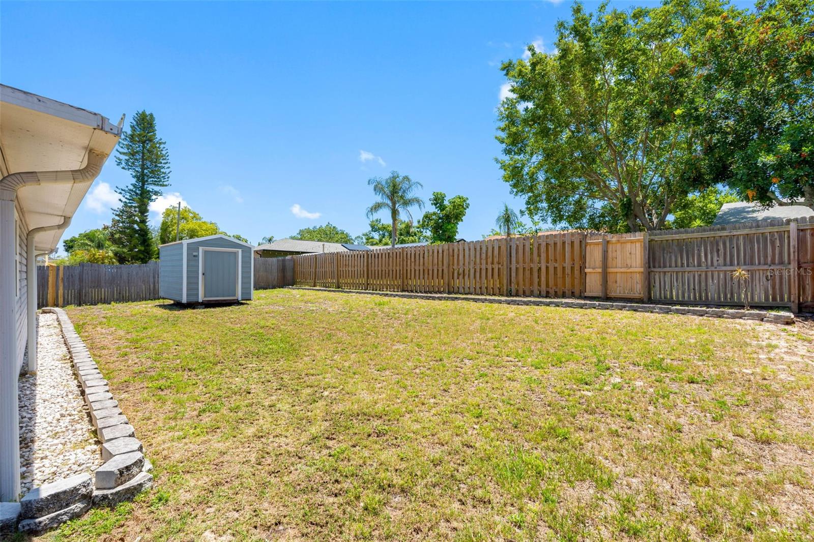 Large Backyard