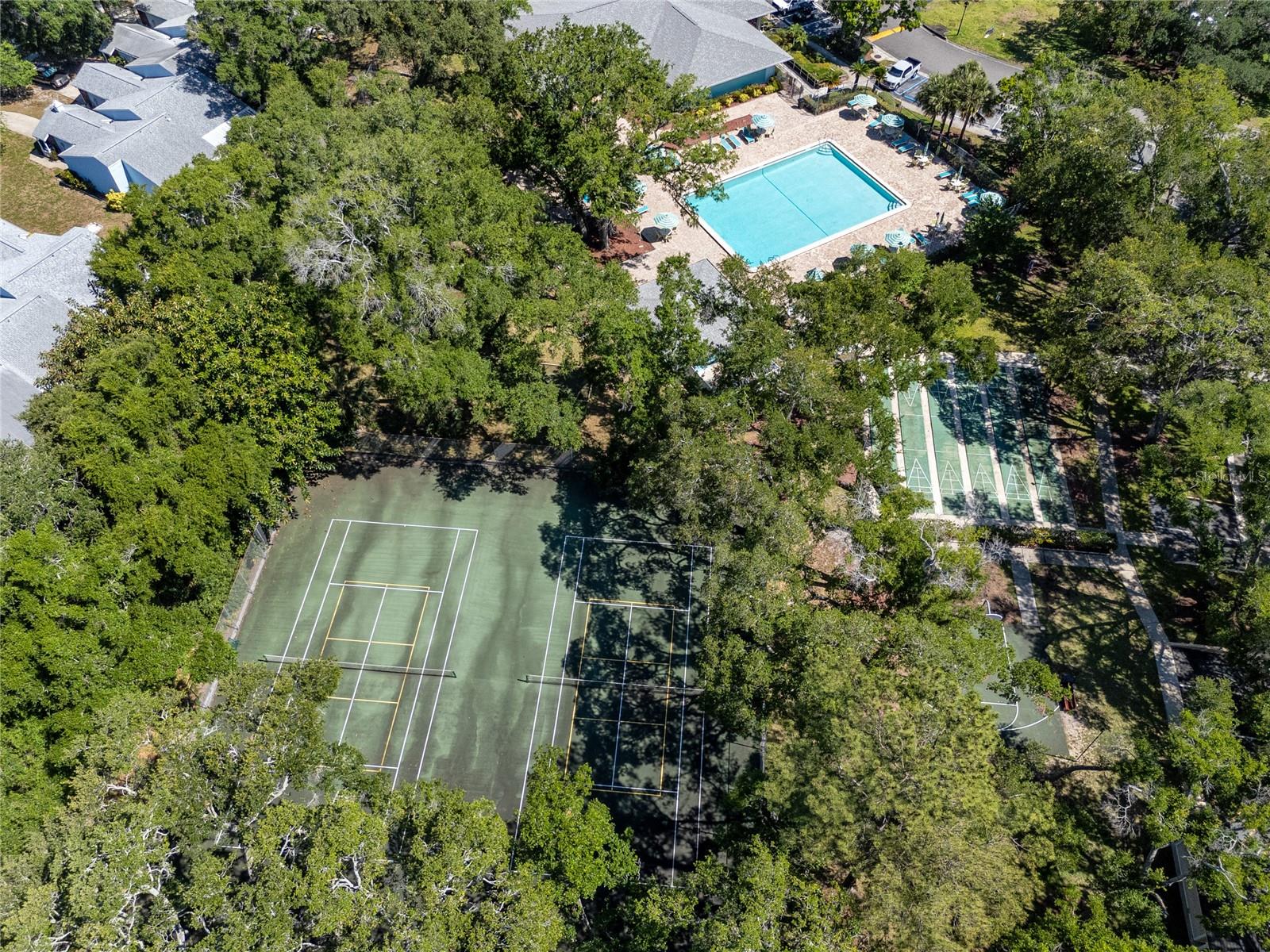 Aerial View of Fox Chase Recreation Center, Palm Harbor, FL 34683