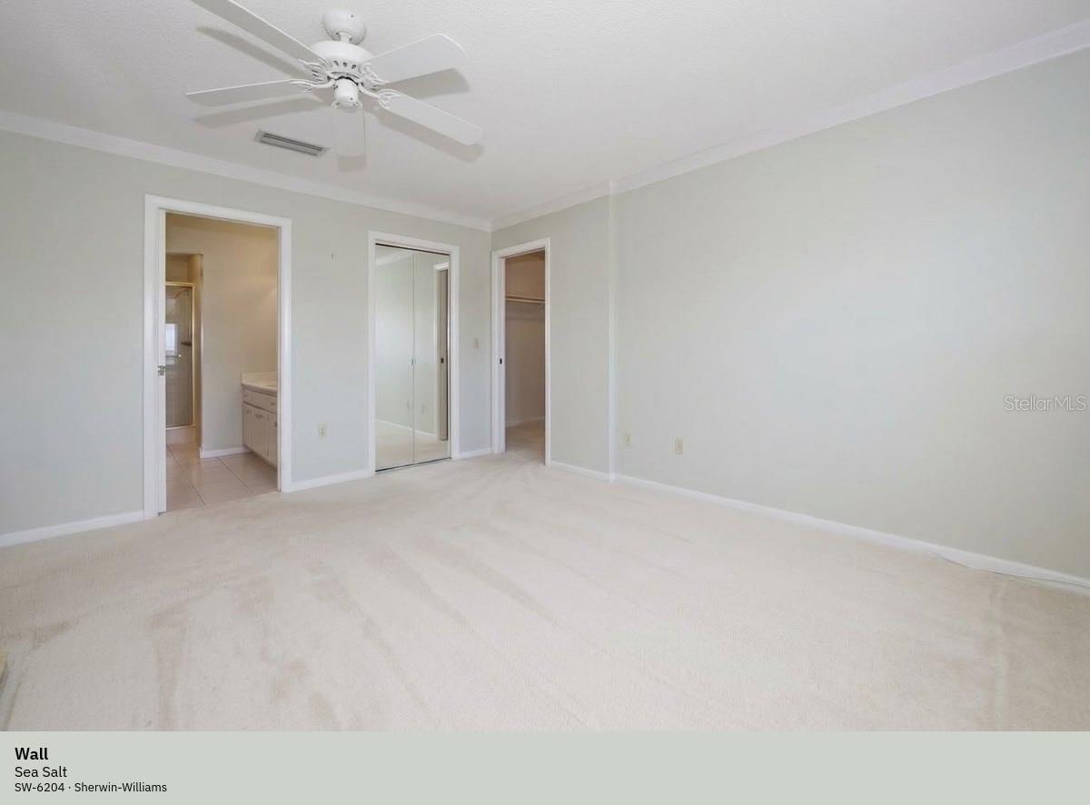 Bedroom actual wall color