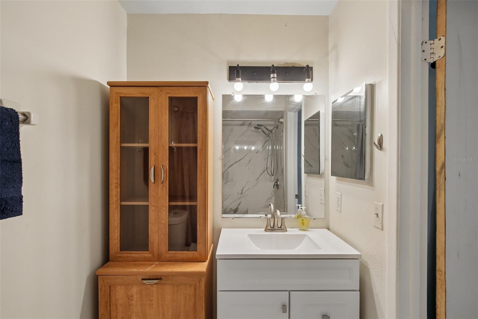primary bathroom