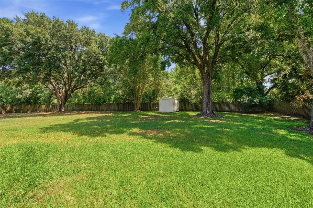 TB8506986