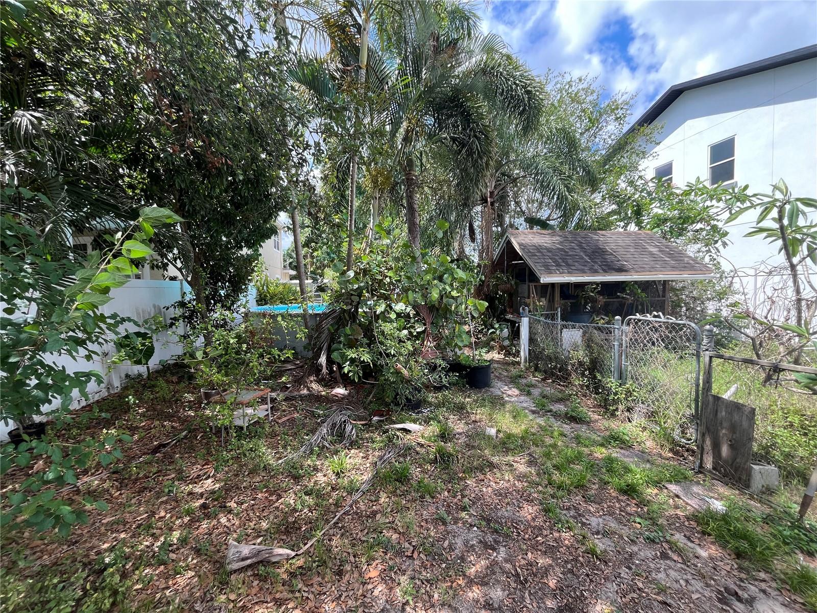 Front yard.