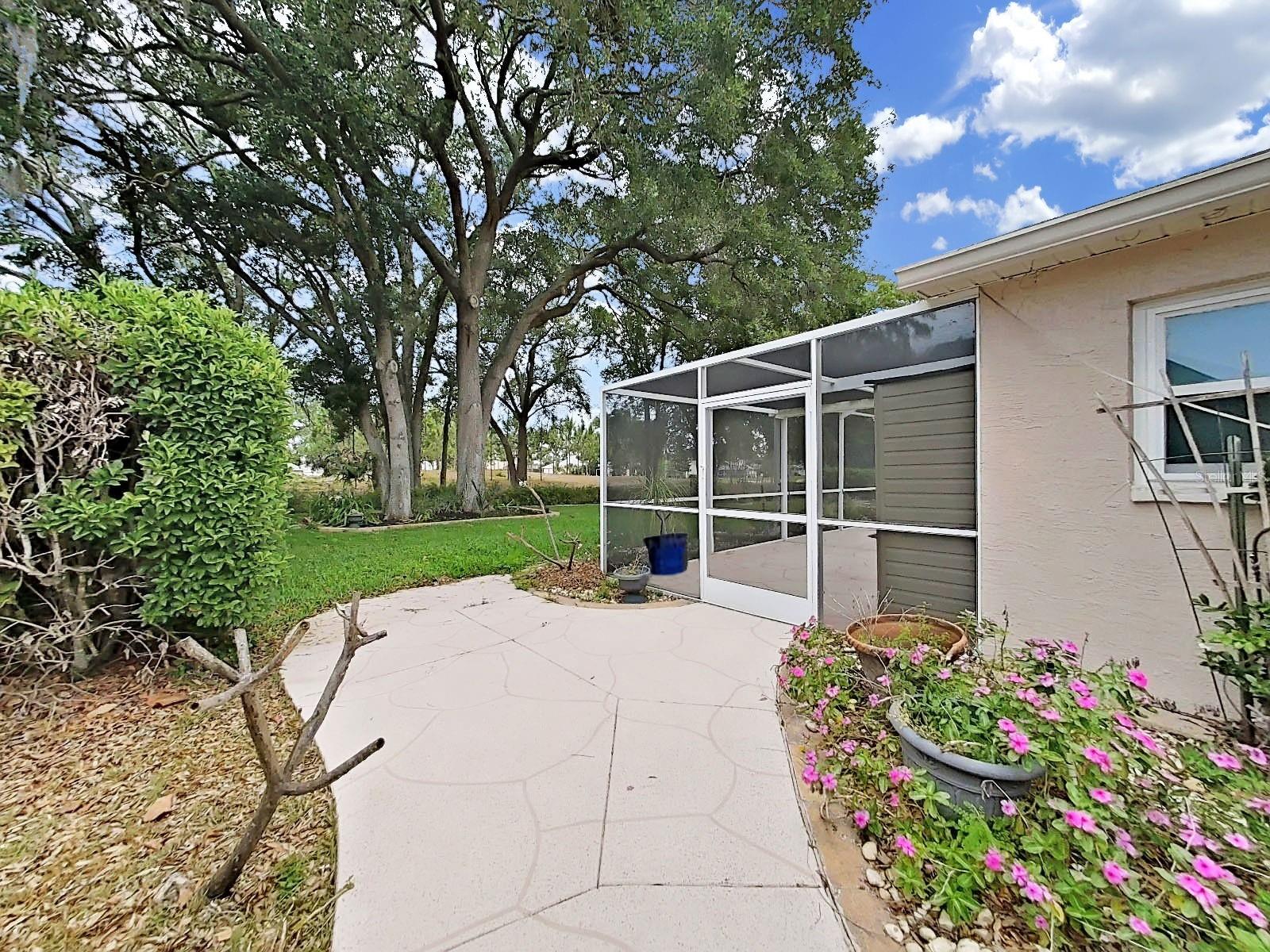 West side of house, beautiful canopy on that tree!