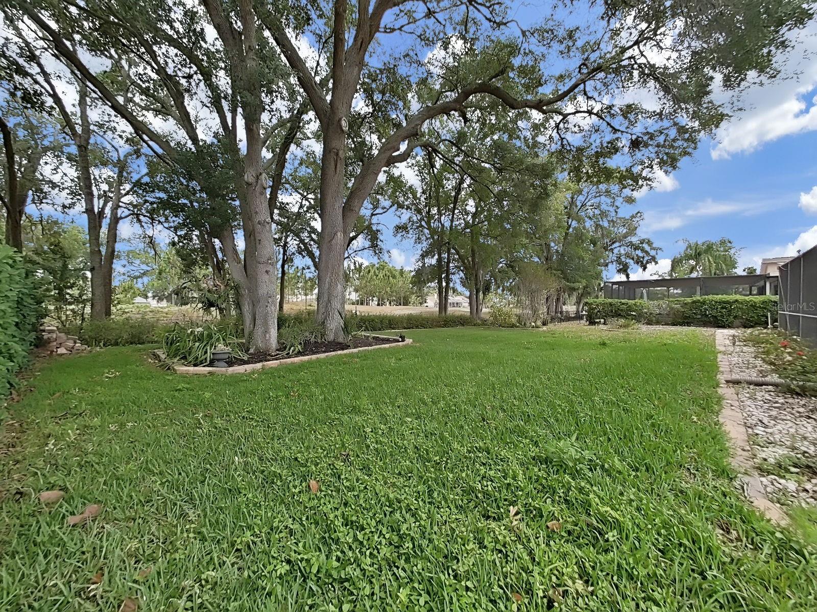 Lush lawn for summer play time.
