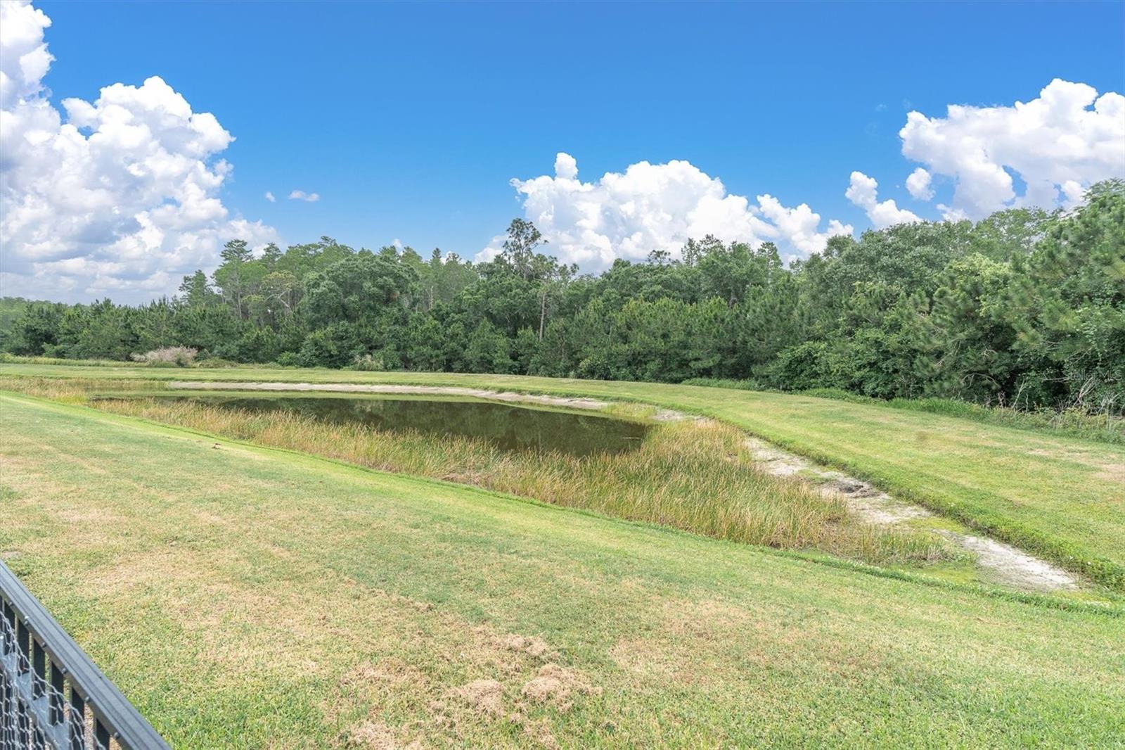 Pond view w/ conservation