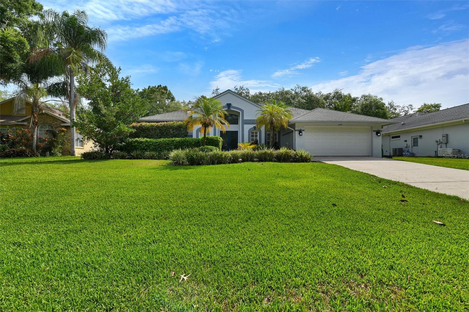 Huge Front Yard