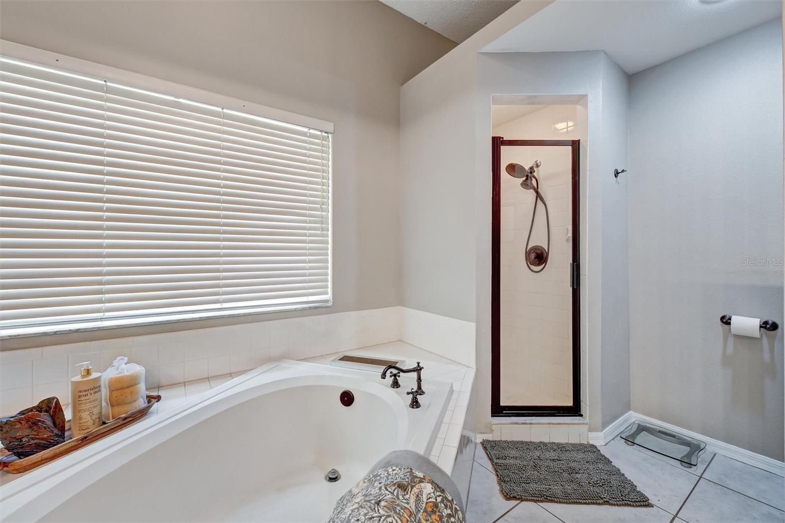 Tub and walk in shower