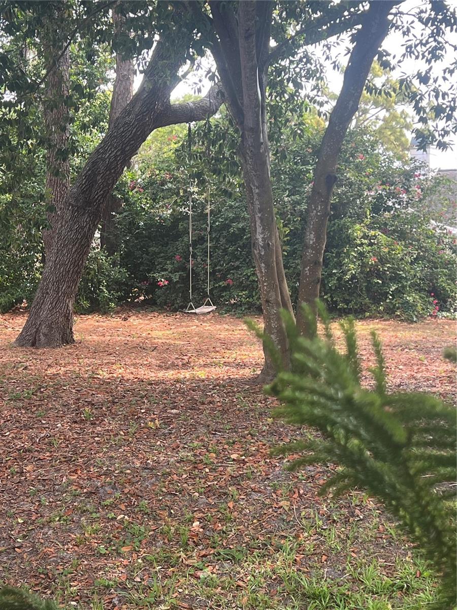 View from back bedroom window