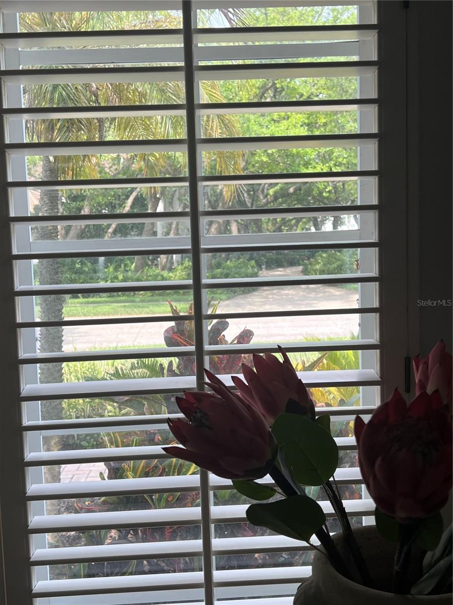 View from entry window