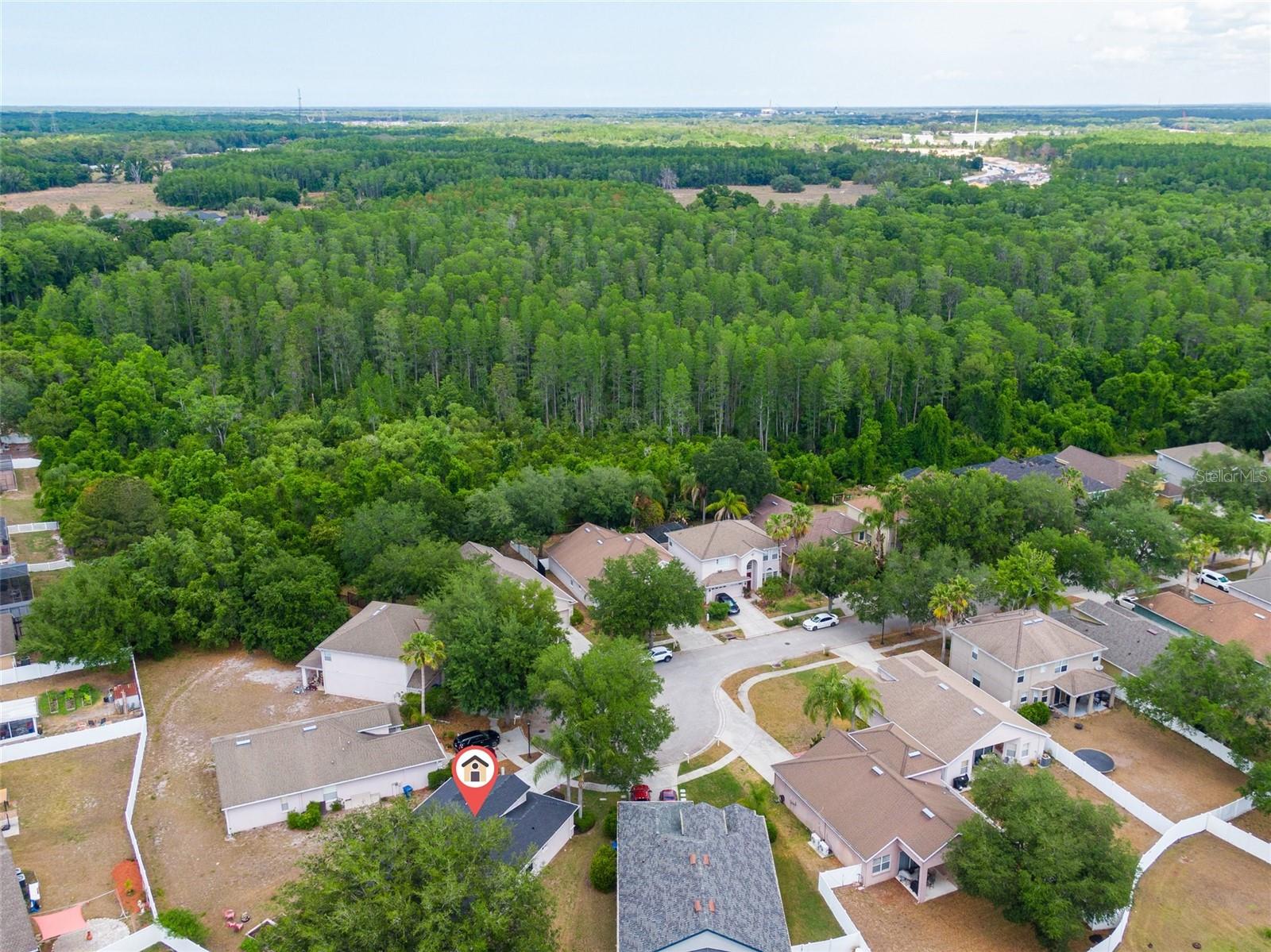 O6406673