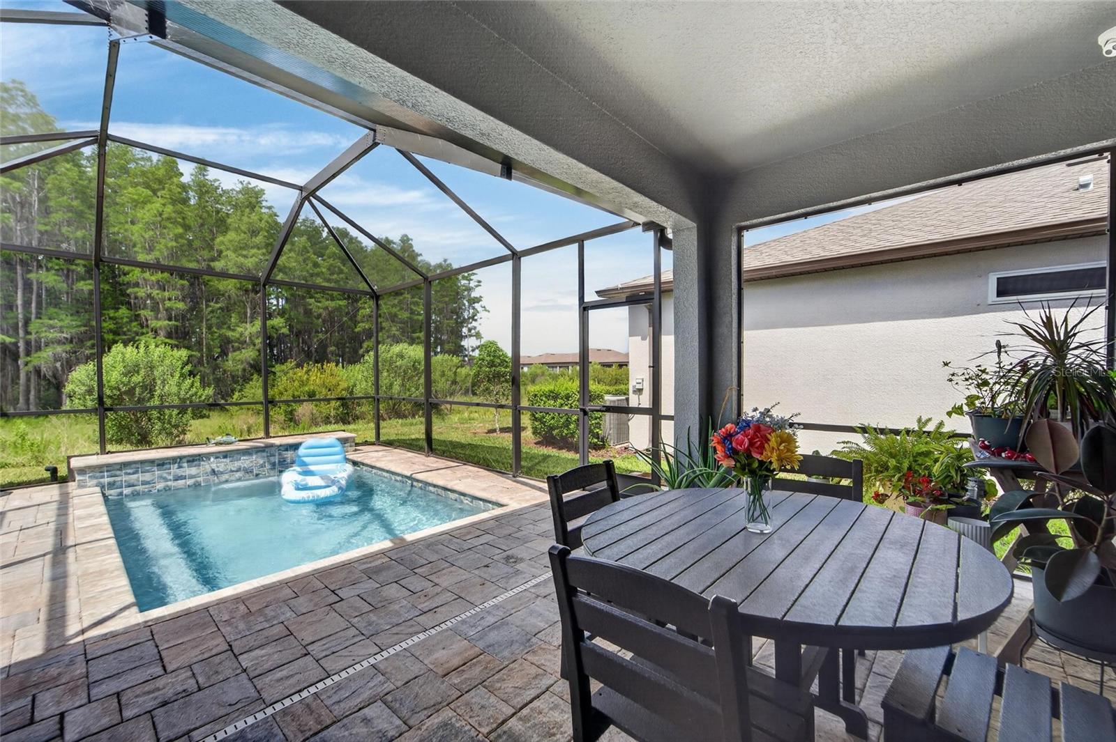 Lanai / Pool