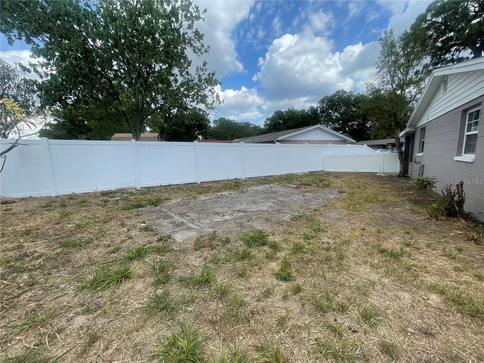 Back Yard