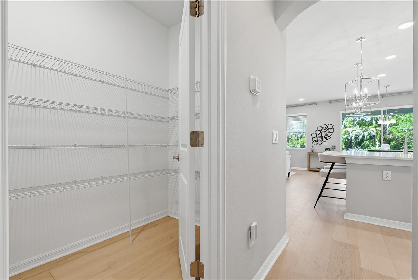 Large Walk-In Pantry