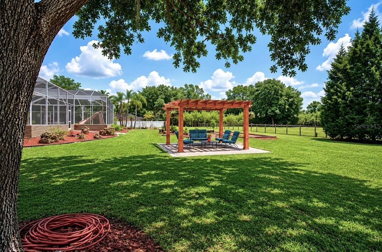 Pergola and garden