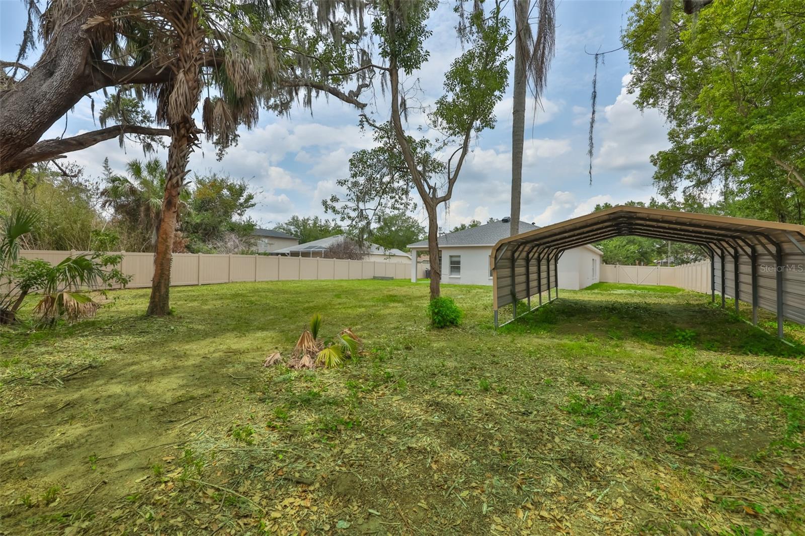Back Yard