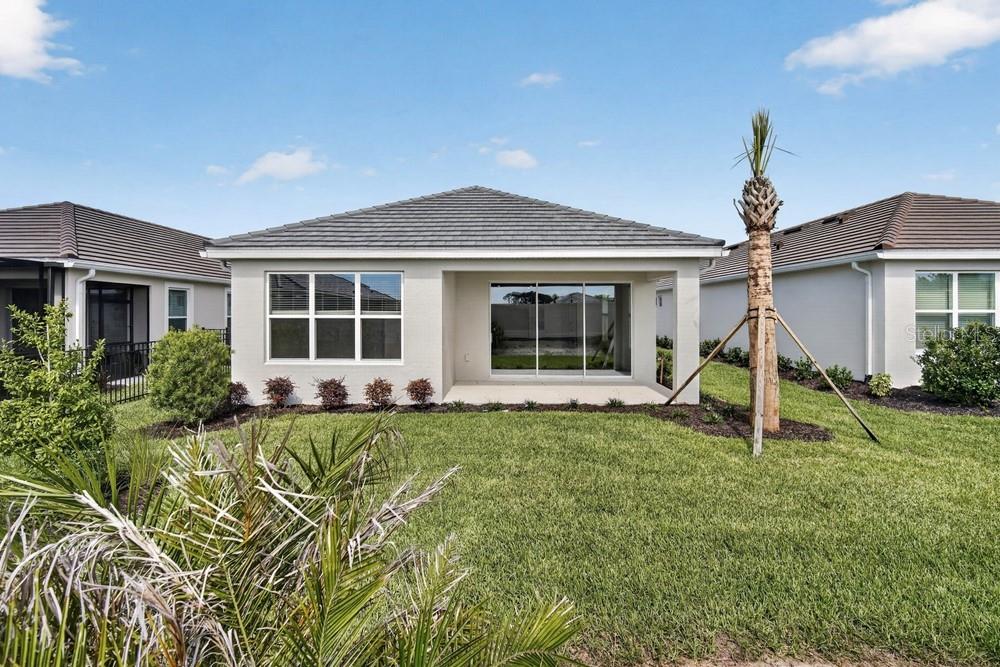 3946 Immacolata ~ Ready Now