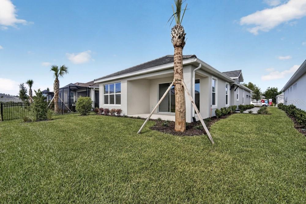 3946 Immacolata ~ Ready Now
