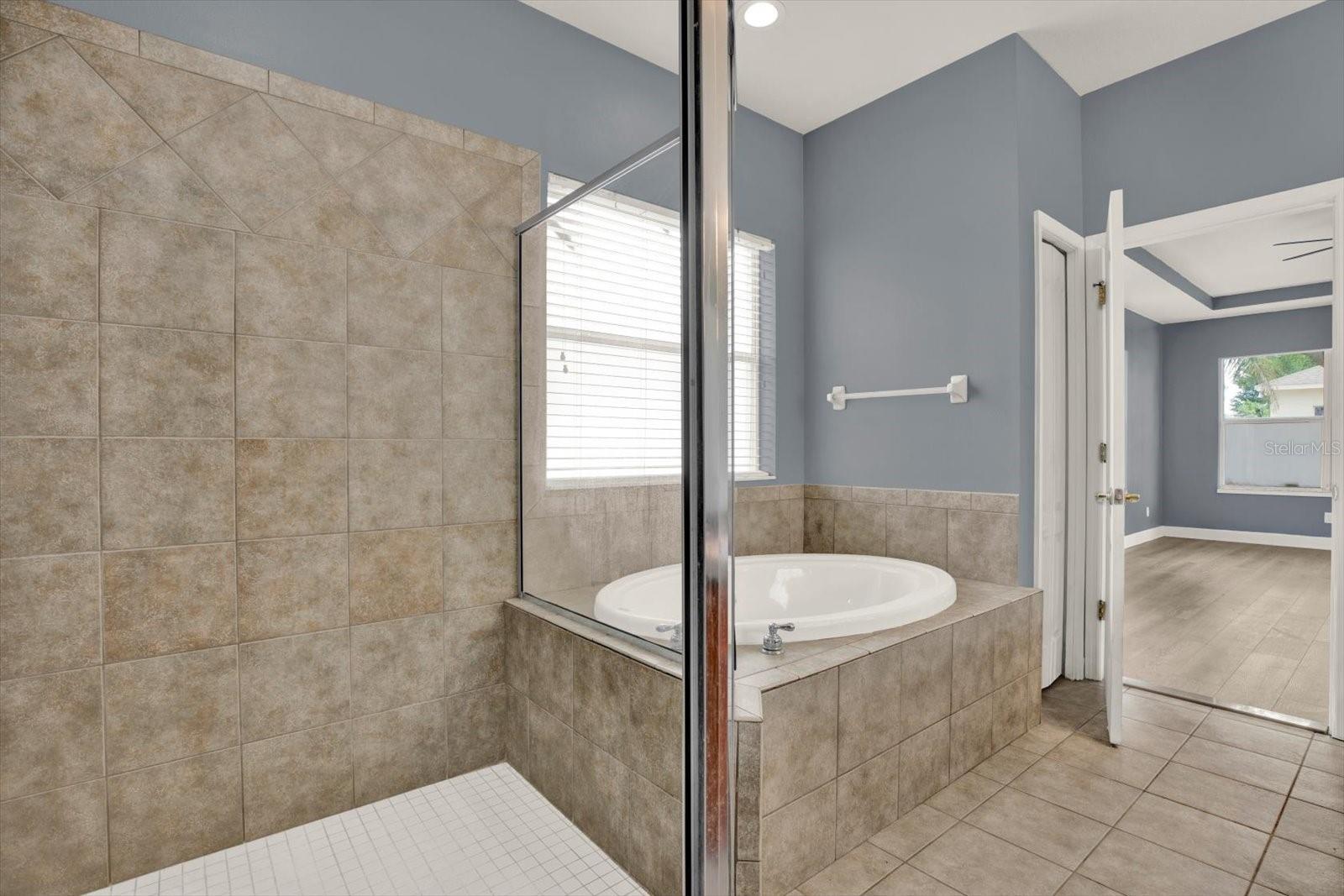Primary Bathroom Garden Tub