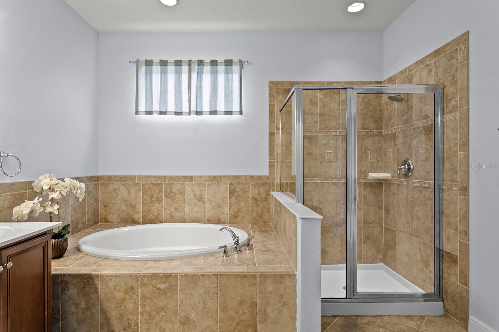 Garden tub and separate walk-in shower