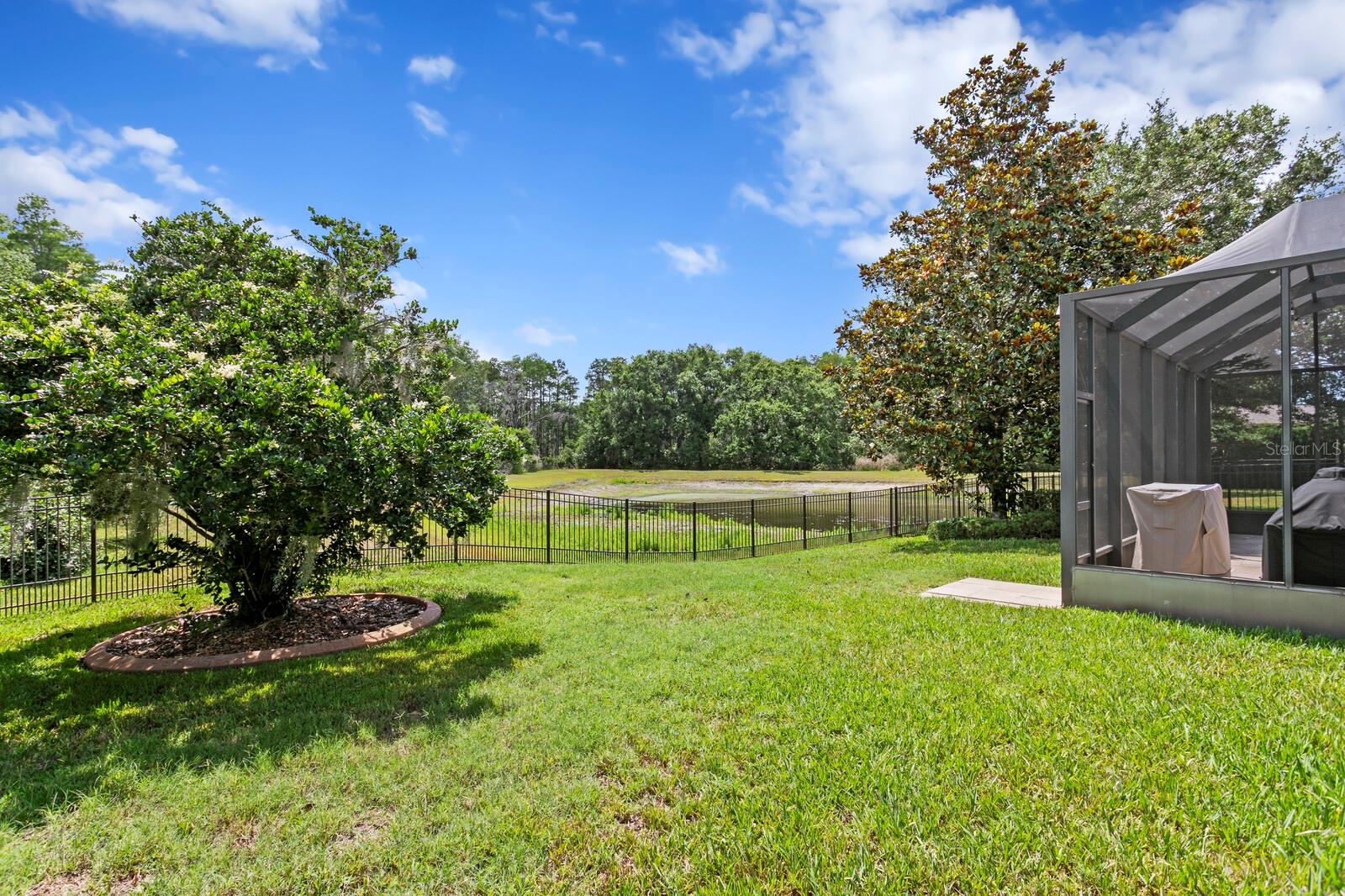 Spacious backyard