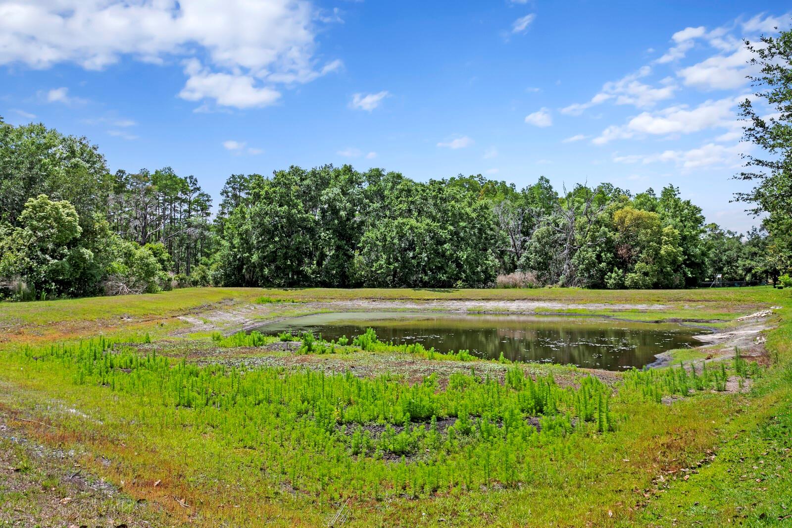 Pond views from the backyard