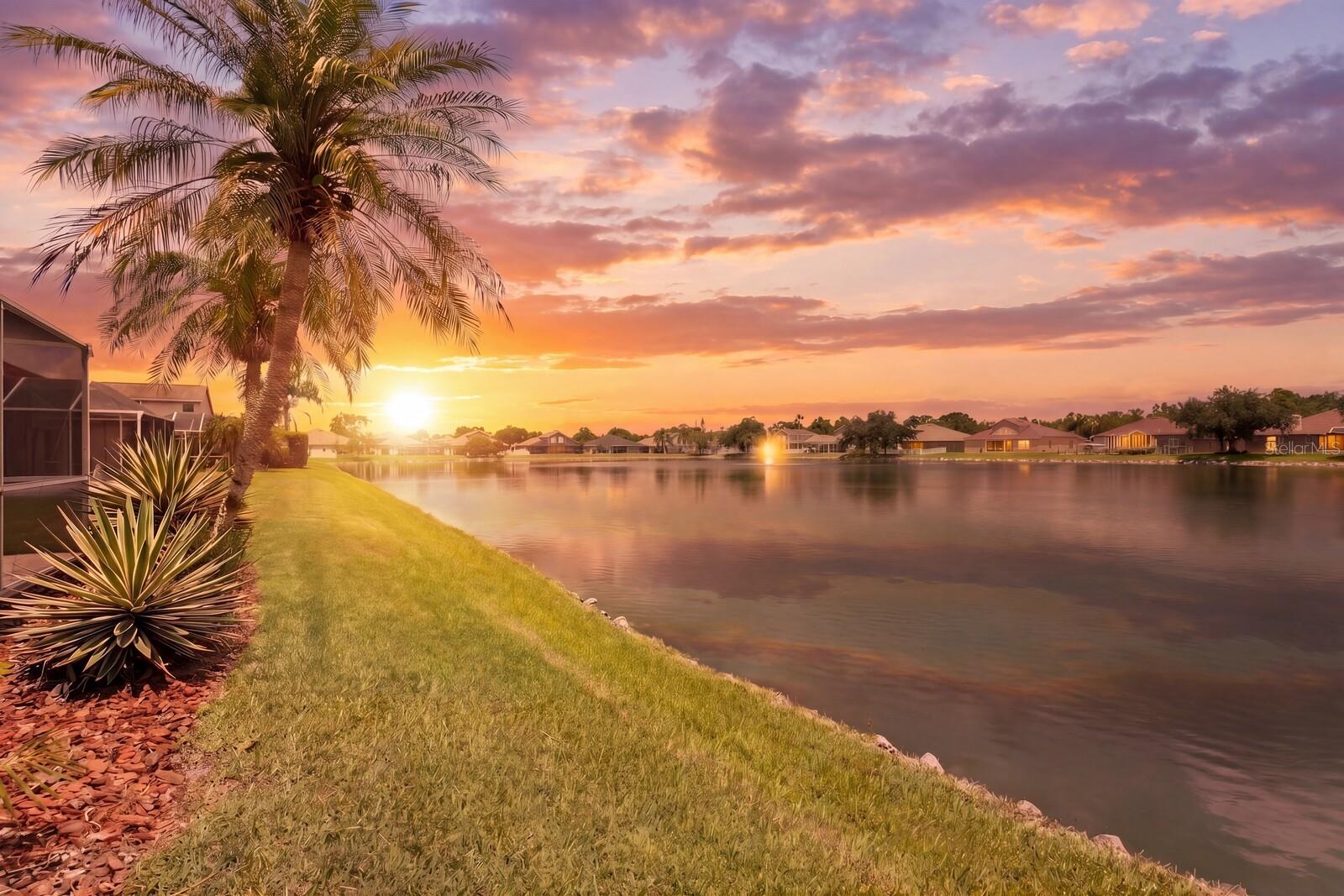 Don't wait to make this your new backyard today!