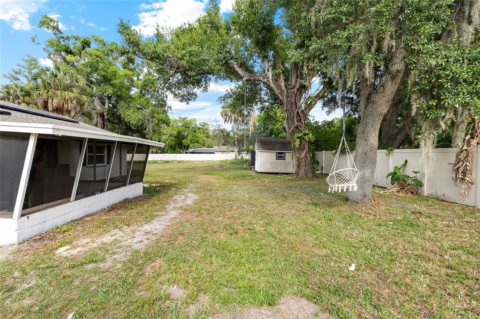 Backyard