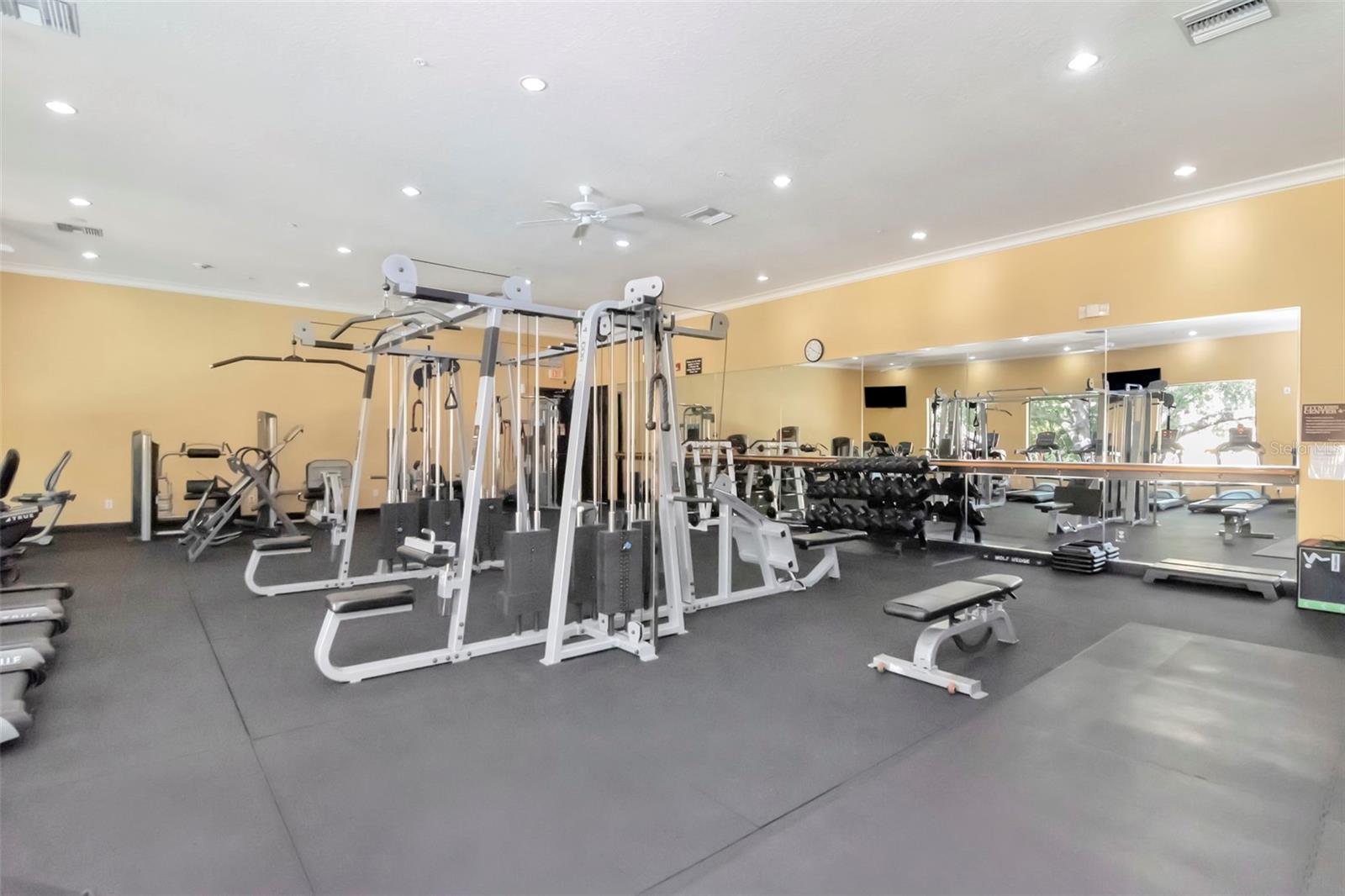 Gym 1