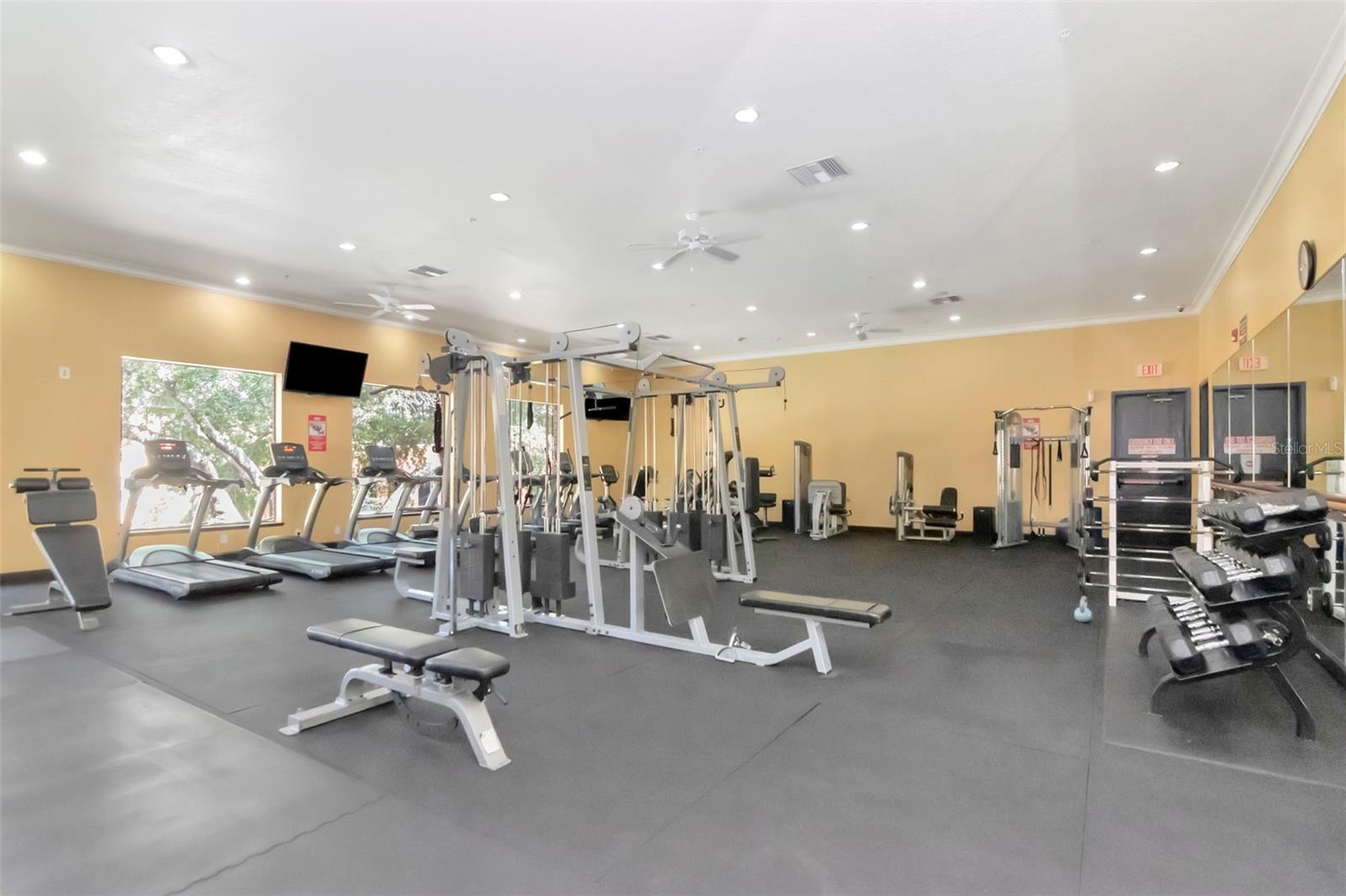 Gym 2