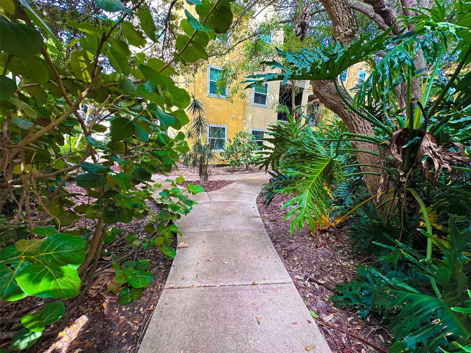 Courtyard 3