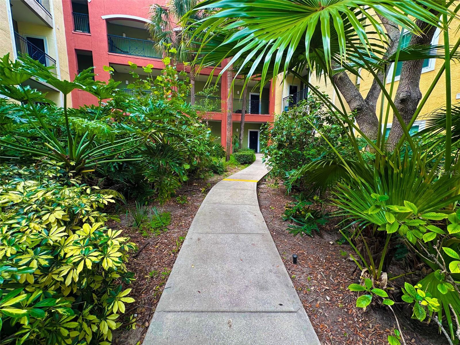 Courtyard 4