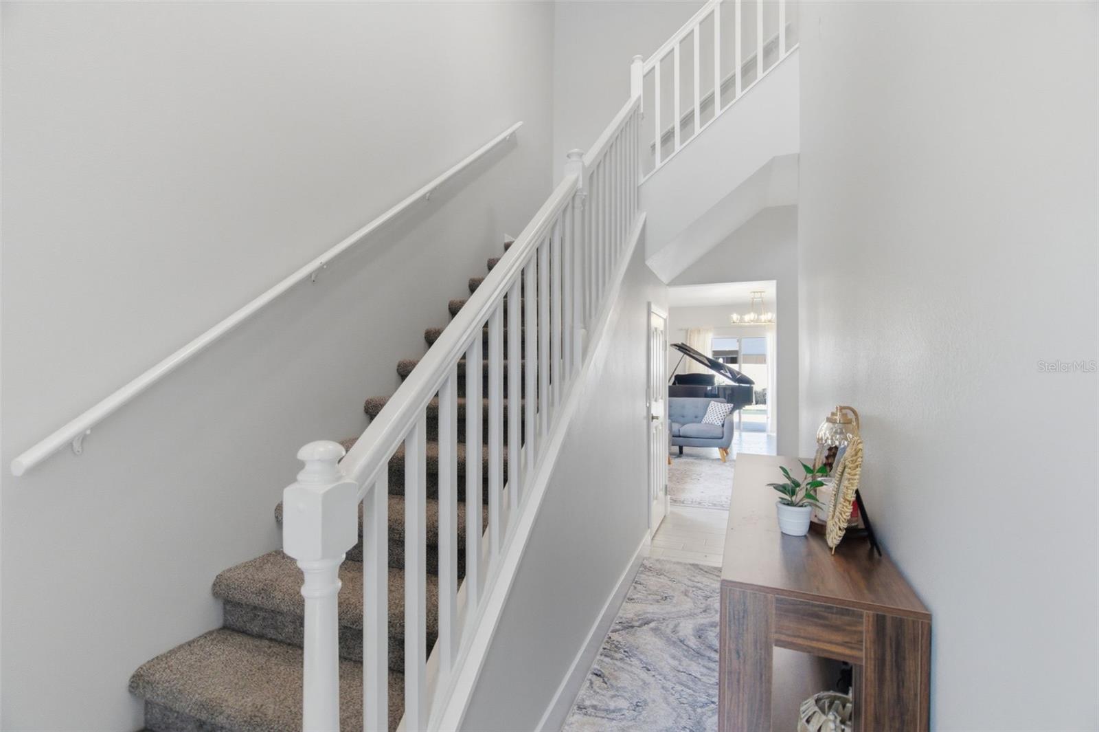 Entry stairs and hall