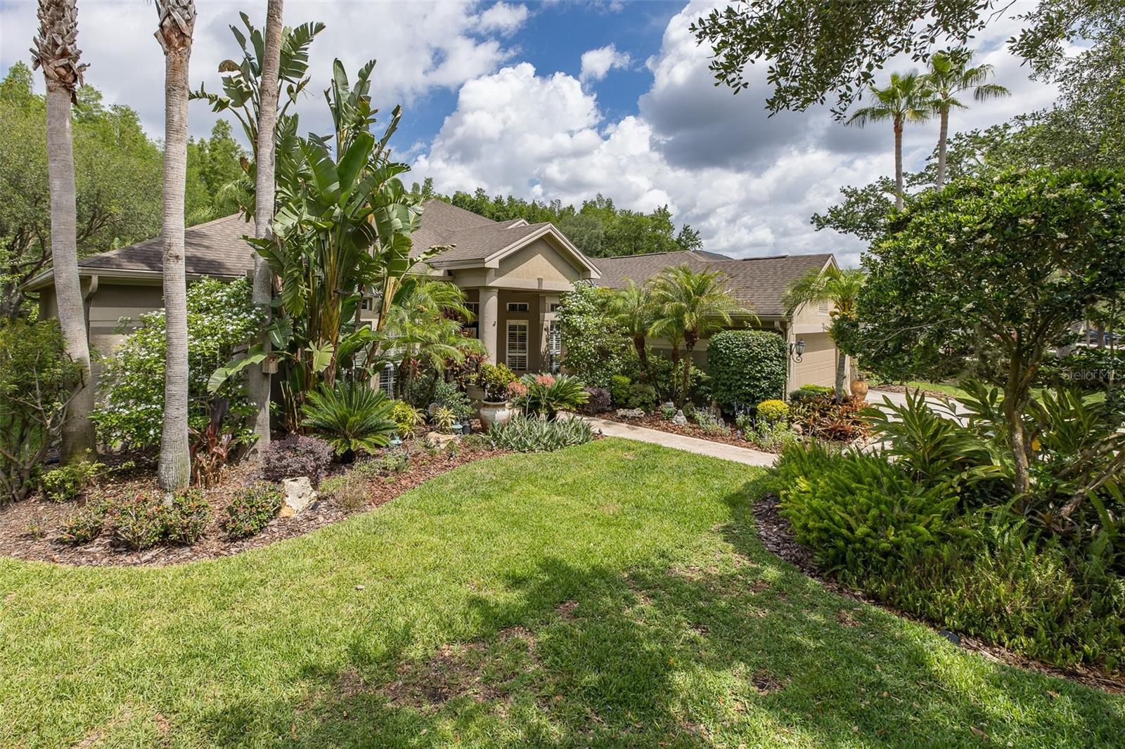 Front yard view