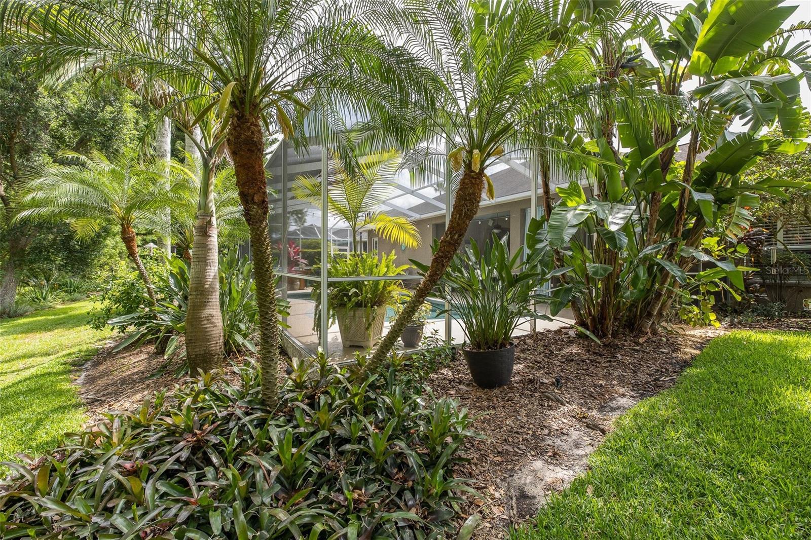 Yard