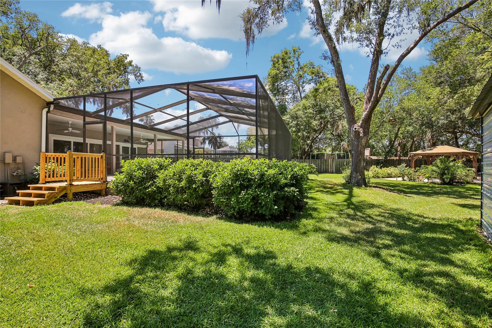 Stunning and well maintained back yard