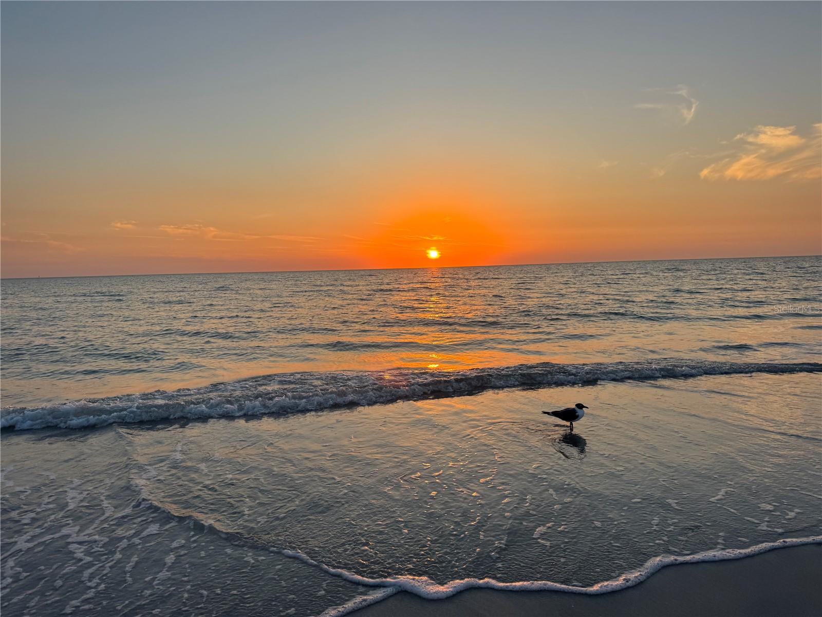 Cross over the blvd to see beautiful sunsets from you condo