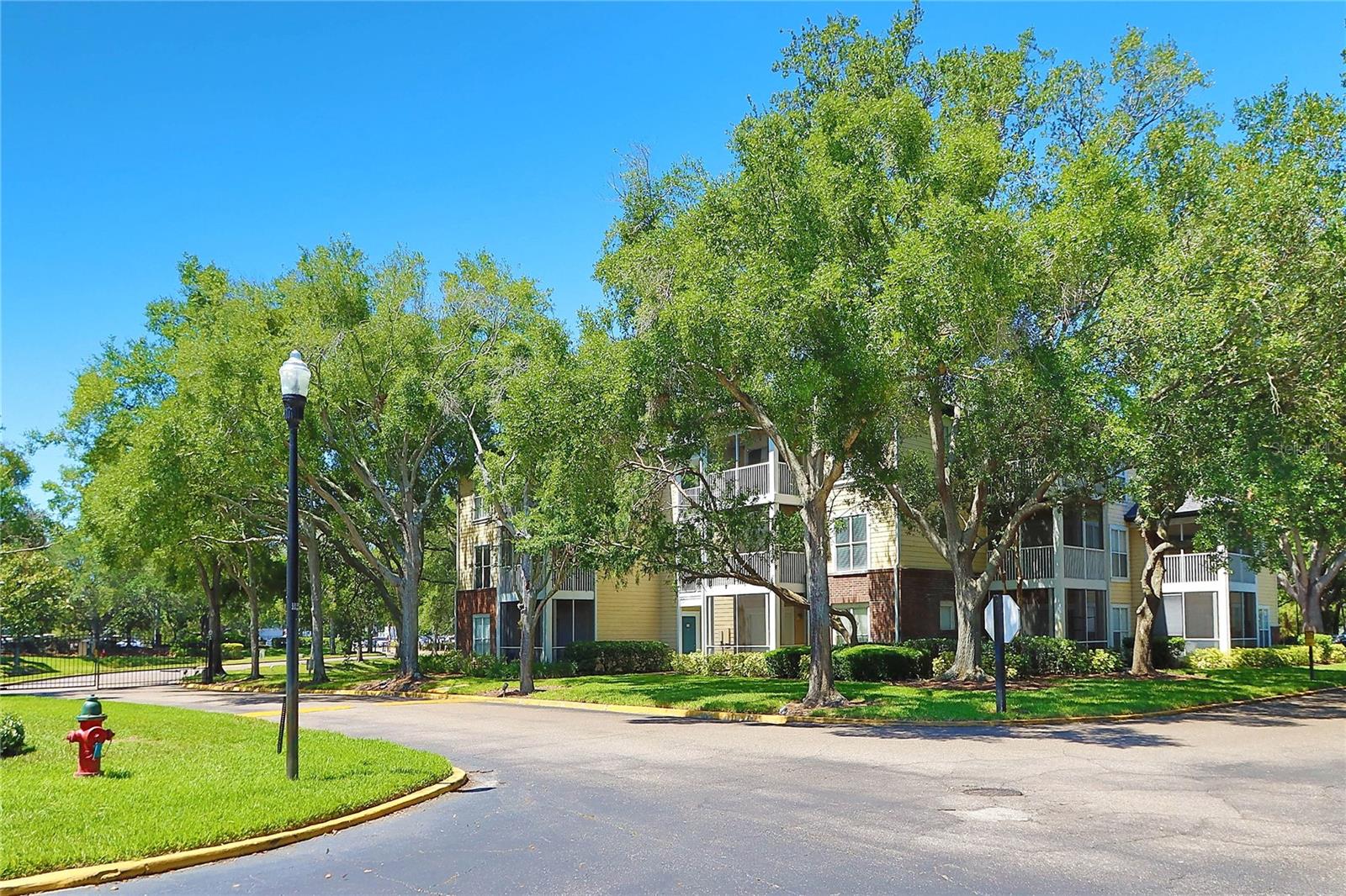 BACKSIDE PROPERTY VIEW