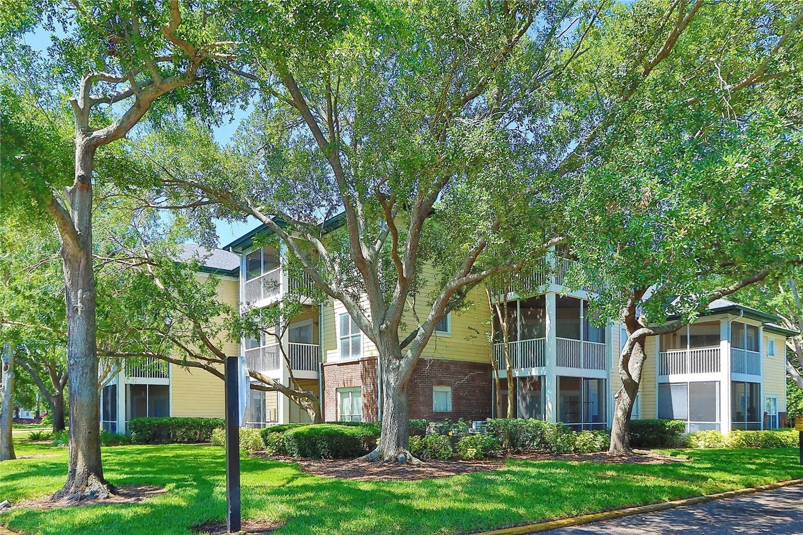 CORNER PROPERTY VIEW