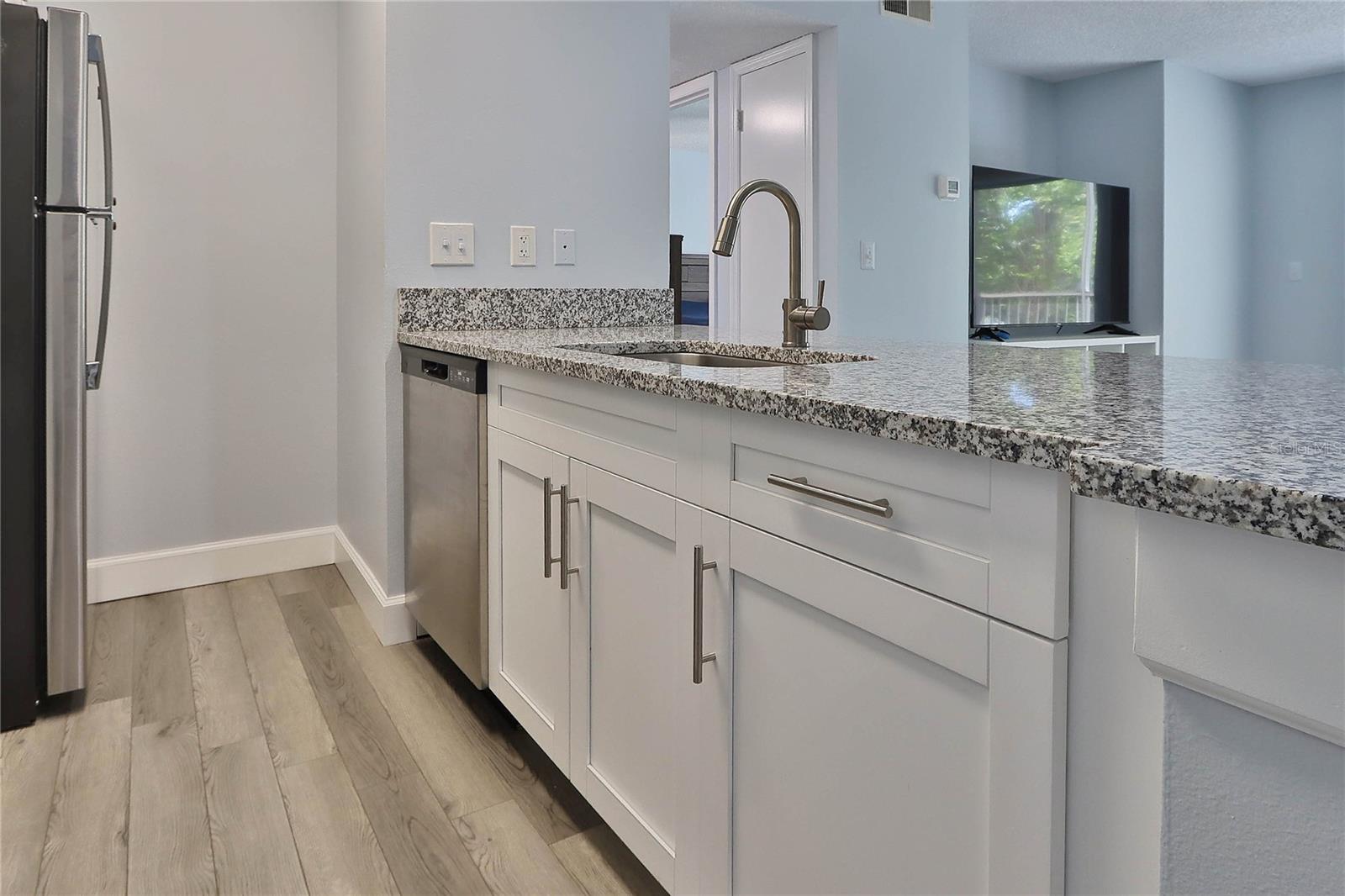 STAINLESS SINK AND GRAITE COUNTERTOP