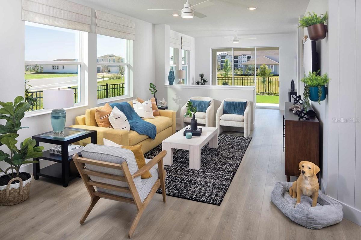 Family Room