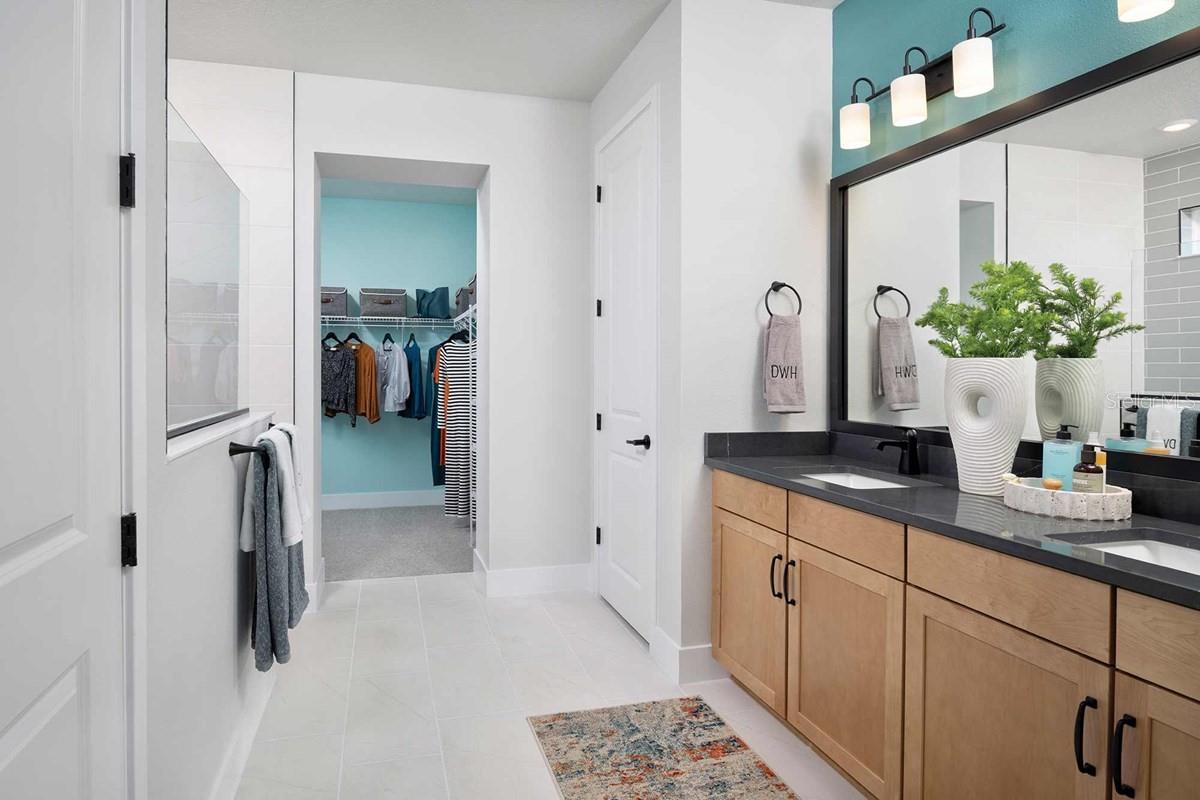 Owner's Bath