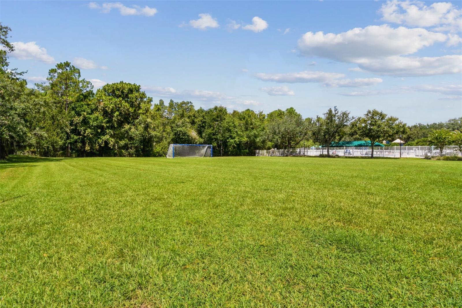 Soccer field
