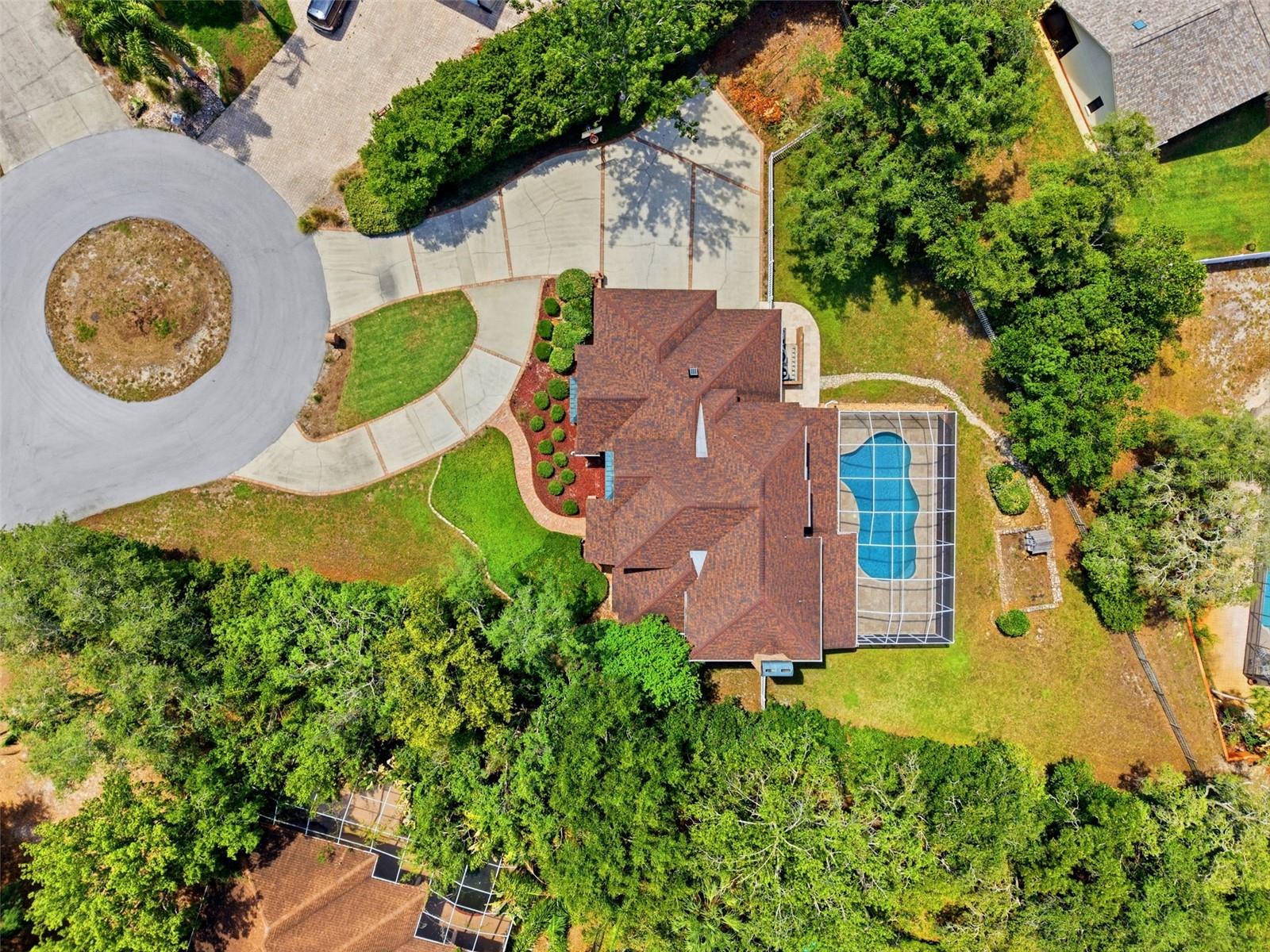 Birds Eye View