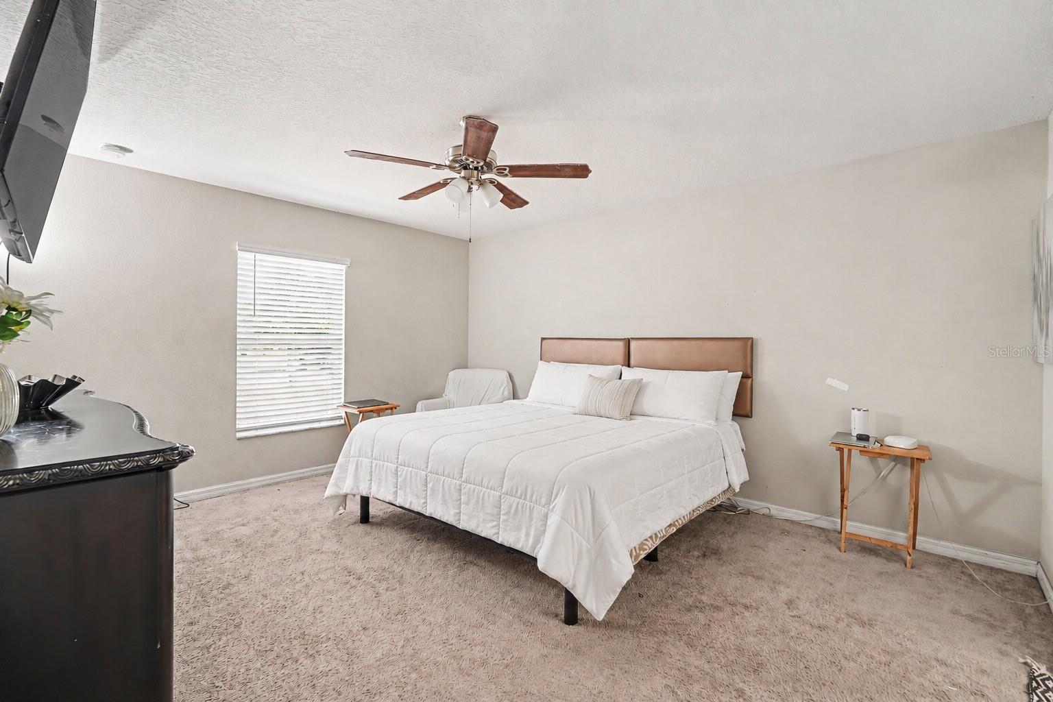 1733 Broad Winged Hawk Drive, Ruskin FL 33570 - Primary Bedroom