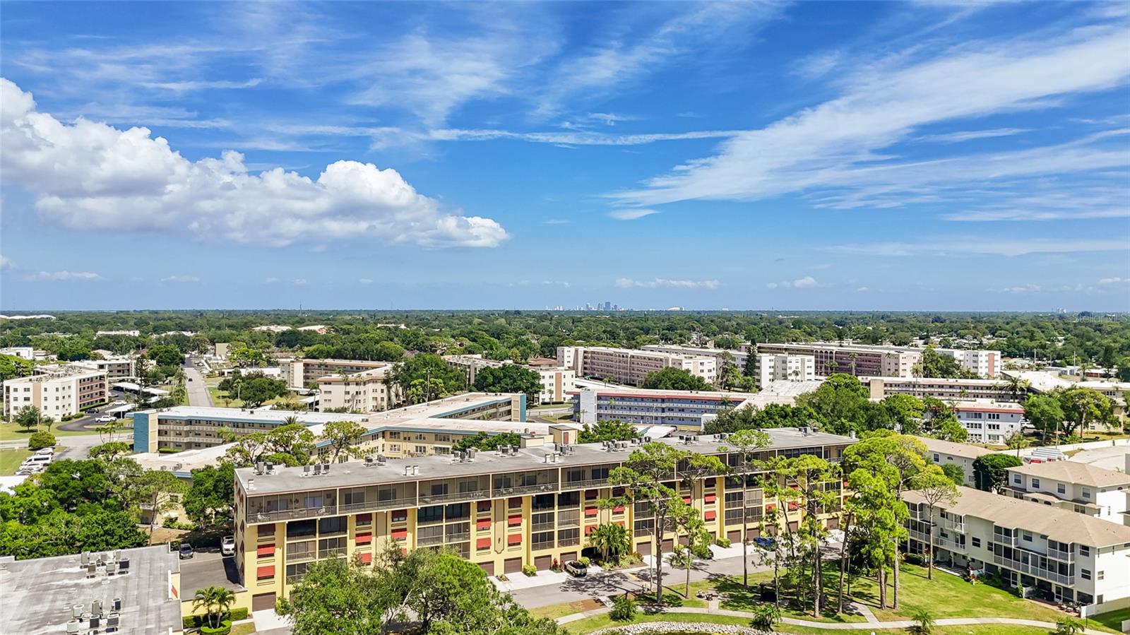 Downtown St. Pete in the background.