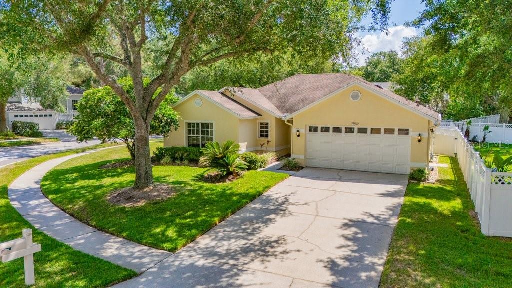Expansive corner lot
