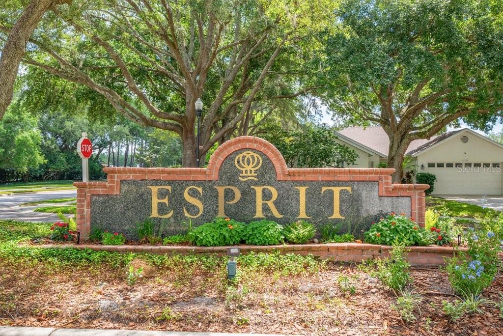Esprit