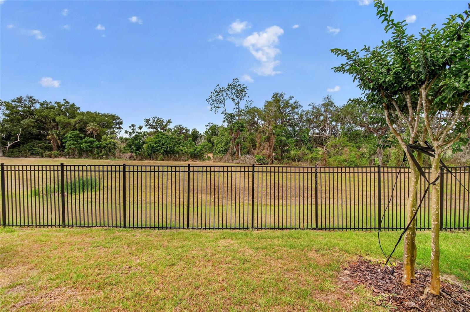 Conservation Lot